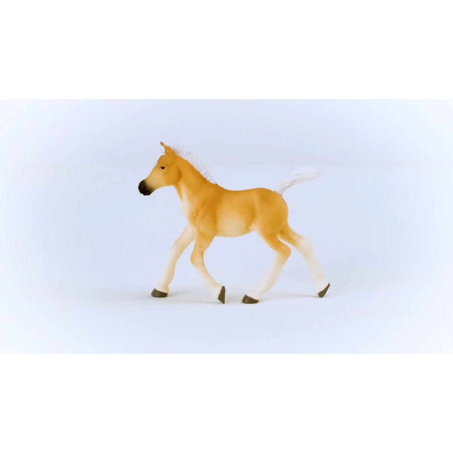 schleich® Haflinger Fohlen 13951
