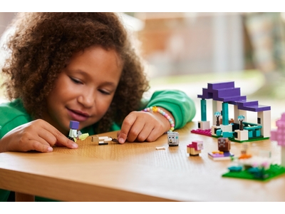 LEGO De dierenopvang (21253)
