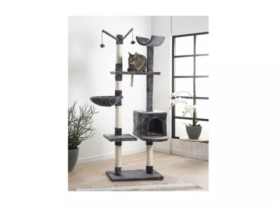 Arbre à Chat 
