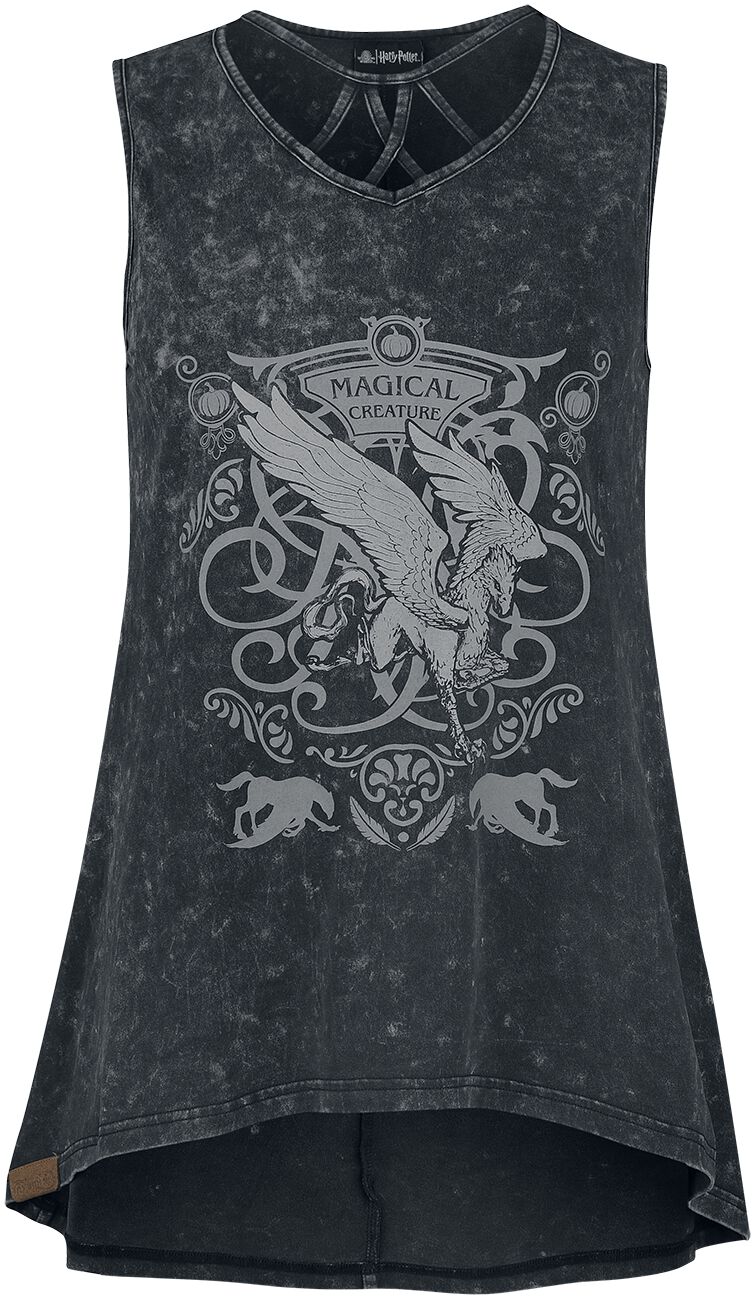 Créatures Magiques | Harry Potter Top