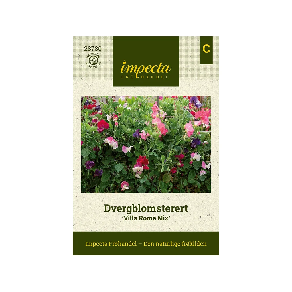 Lathyrus odoratus var. nanellus 'Villa Roma Mix' Dvergblomsterert 'Villa Roma Mix'
