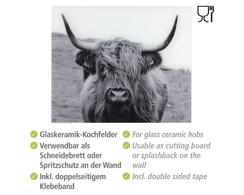 Glazen achterwand Wenko Highland Cattle 60 x 50 cm