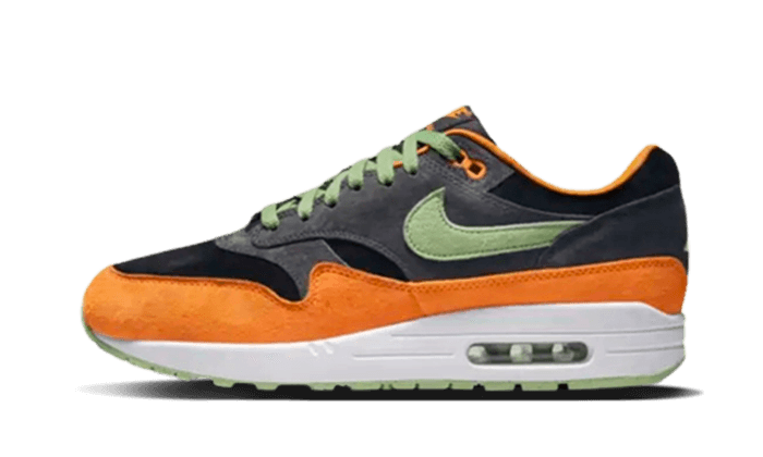 Nike Air Max 1 PRM Duck Anthracite - 48h Delivery