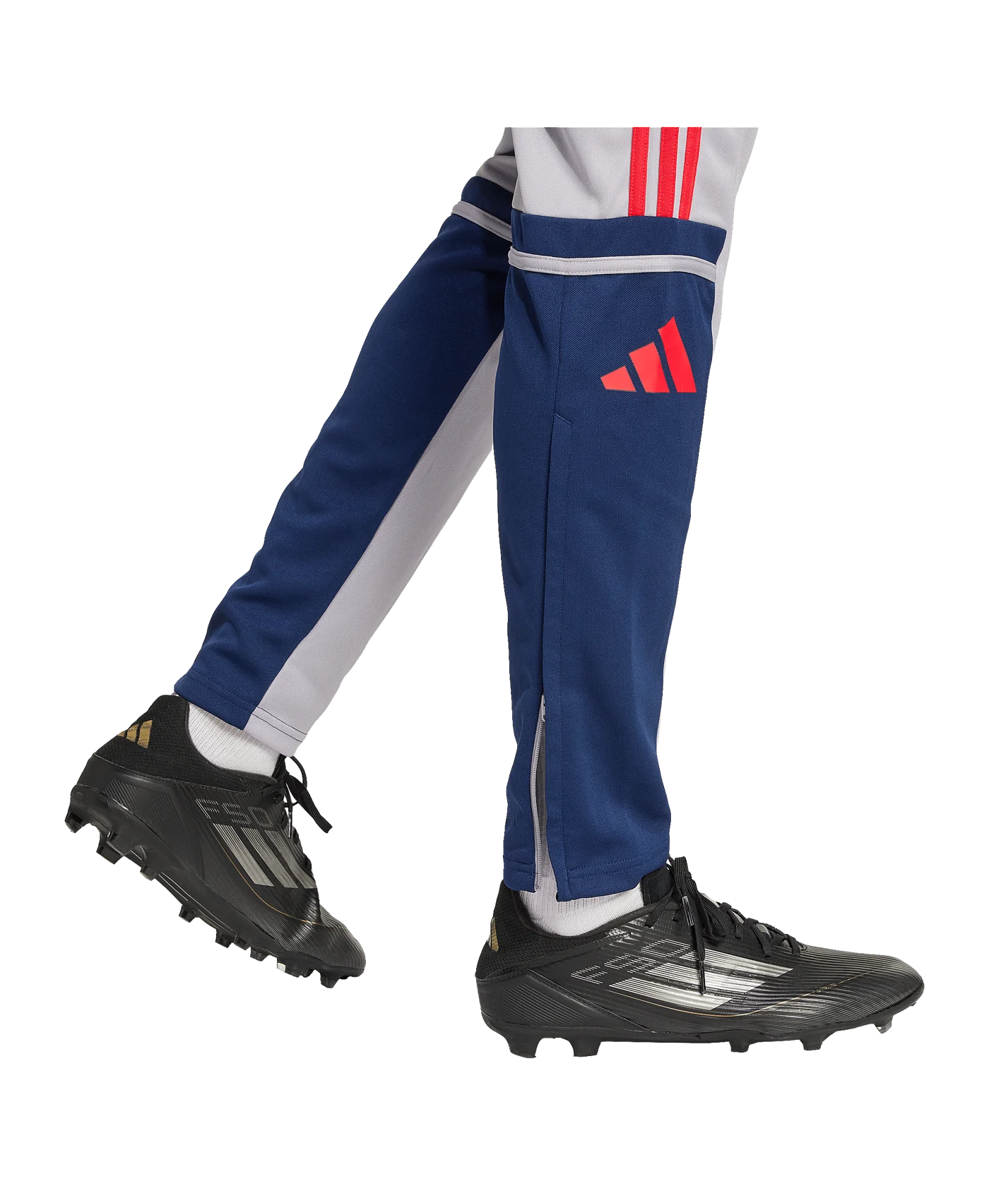 adidas Squadra 25 Trainingshose Grau