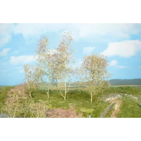 Heki 1638 20 Bäume, Seemoos natur