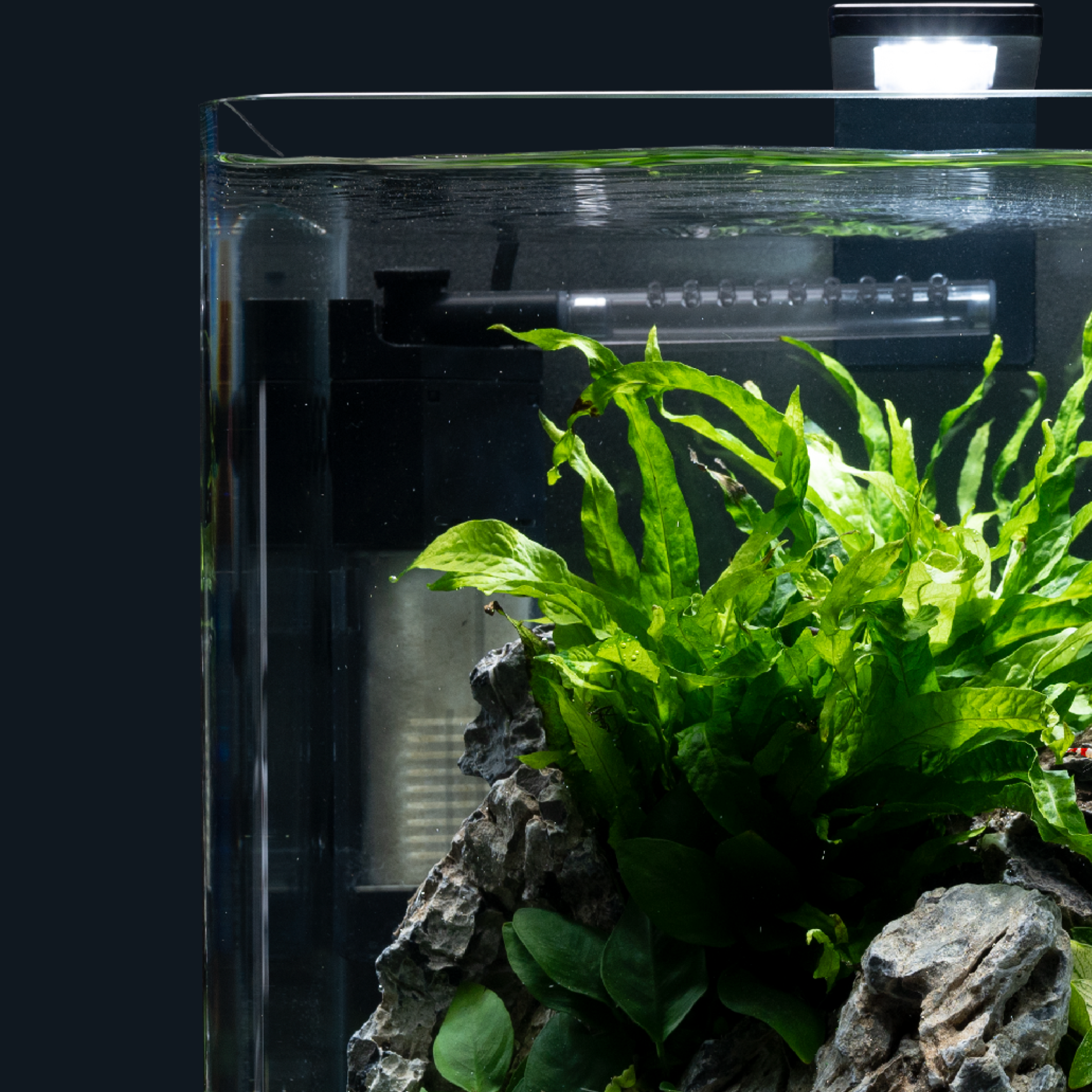 Dennerle Nano Clean Hoekfilter | Geschikt voor nano-aquaria