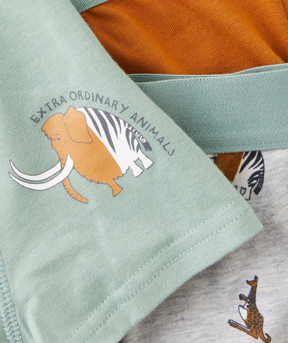 LOT DE 5 BOXERS GARÇON EN COTON BIO GRIS ET VERT AVEC ANIMAUX
