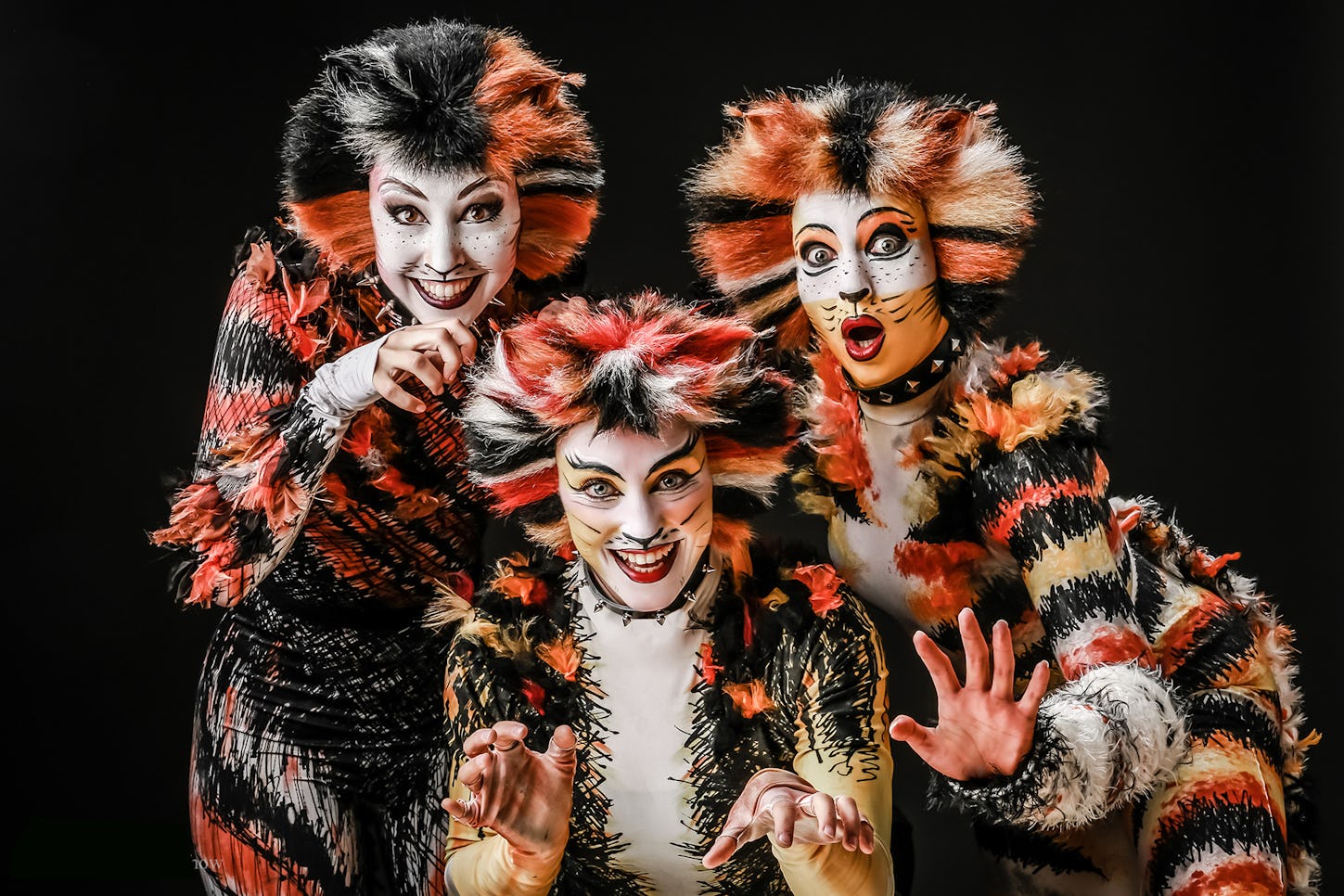 Musical Starlights Show Veitshöchheim