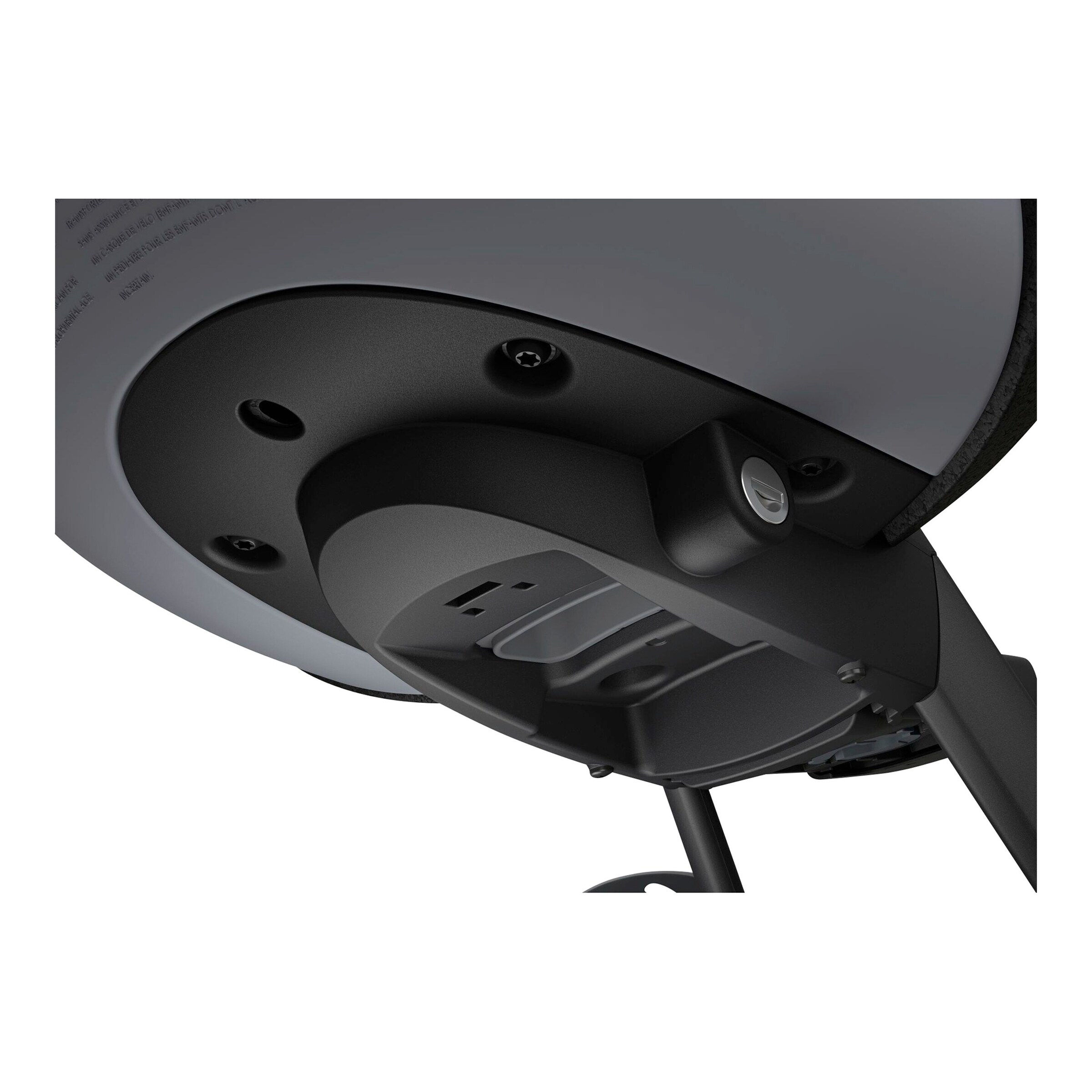 Thule Kinderfahrradsitz Yepp Nexxt 2 Mini momentum
