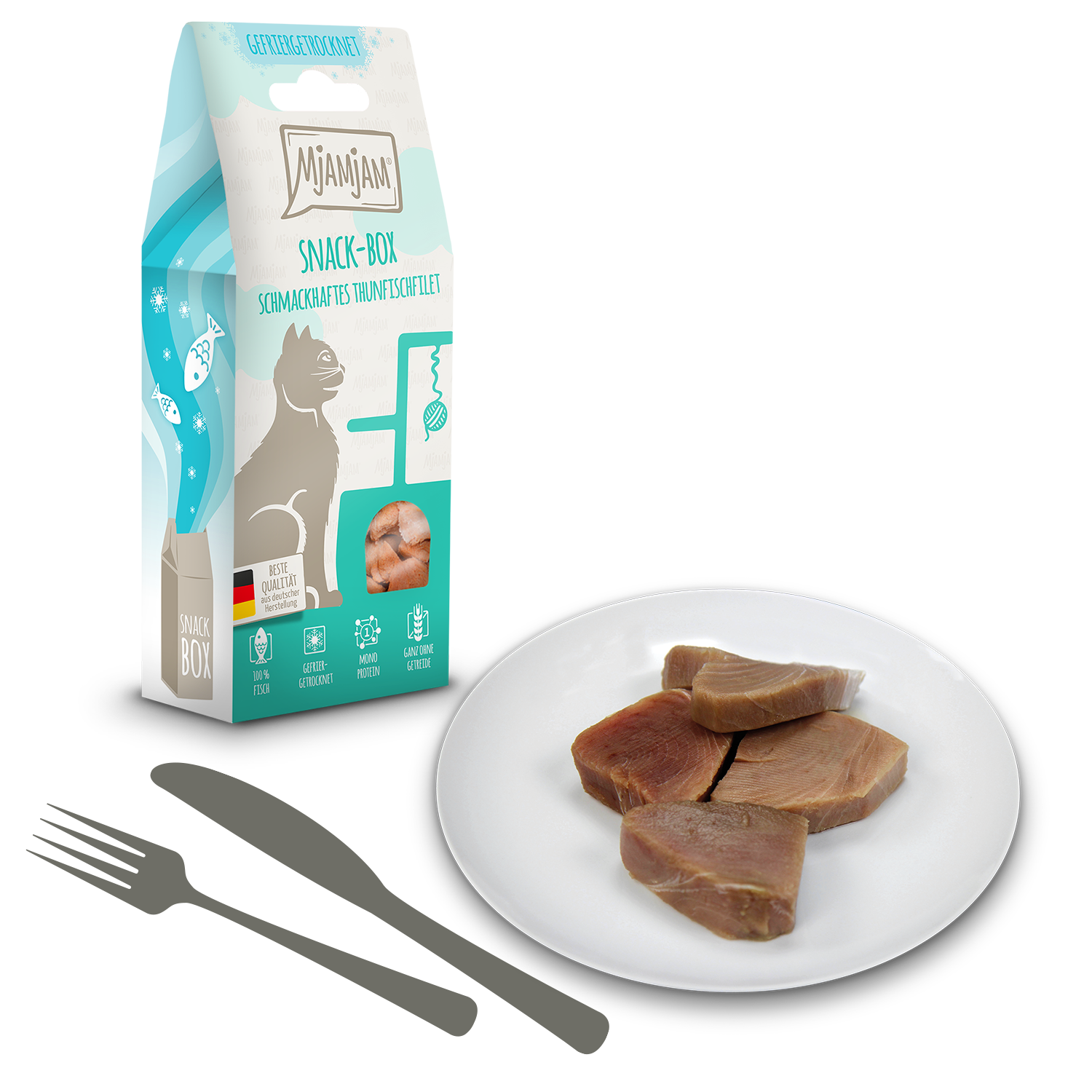 Snackbox - schmackhaftes Thunfischfilet