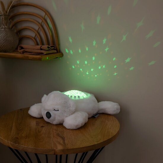 Veilleuse projecteur   Ours polaire blanc        de               Nattou