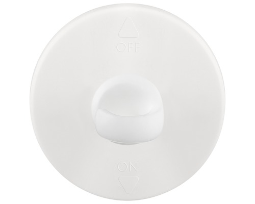 Plafondhaak wit 0,5 kg