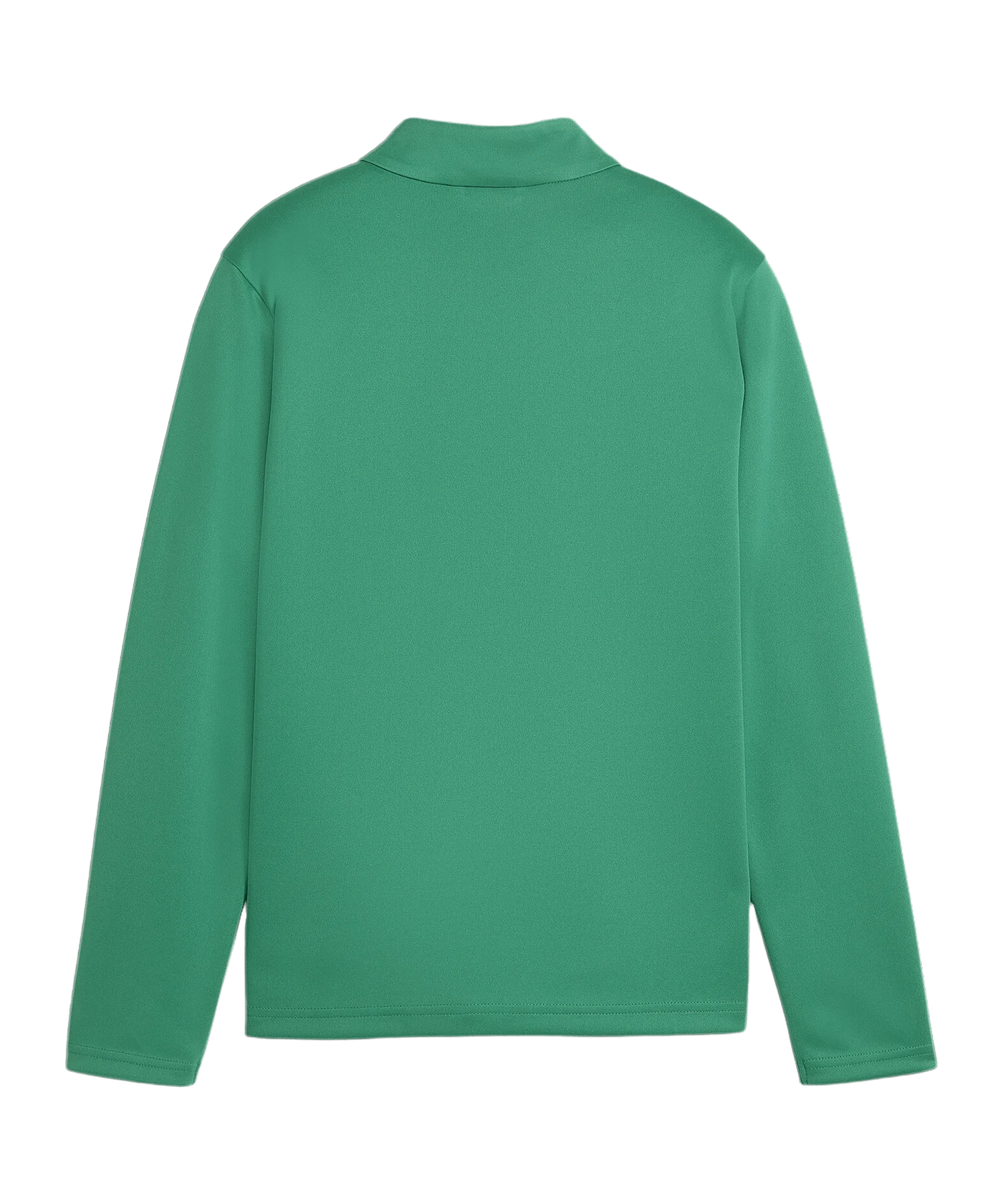 PUMA teamGOAL Trainingsjacke Kids Grün F05