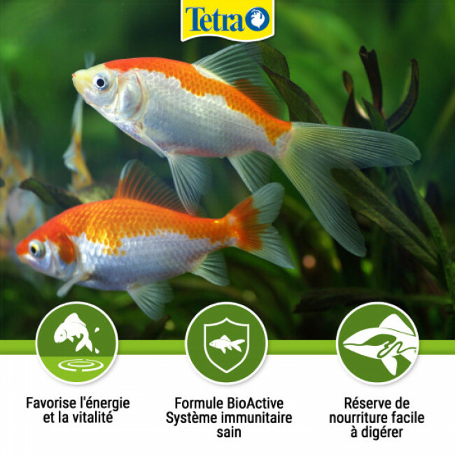 Alimentation Tetra Pond Holiday 1 bloc x 98 g pour poissons de bassin