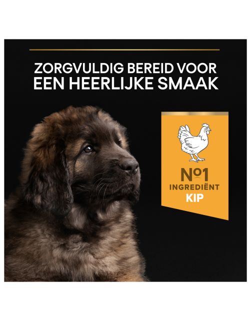 Pro Plan Dog Puppy Large Breed Robust Kip - Hondenvoer