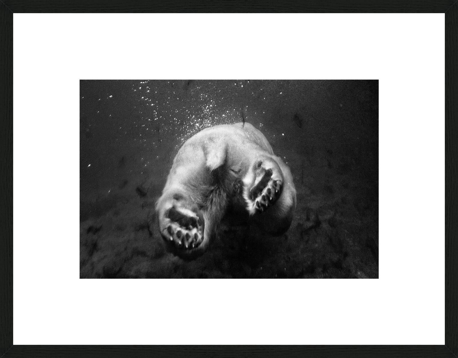 The Diver by Heidi & Hans - Jürgen Koch - Limited Edition. Edition of: 150. Signed.