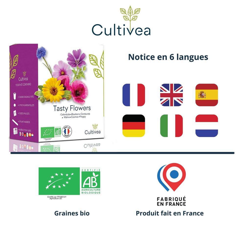 Mini kit prêt à pousser fleurs comestibles - calendula, bleuet, malva, cosmos, coquelicot