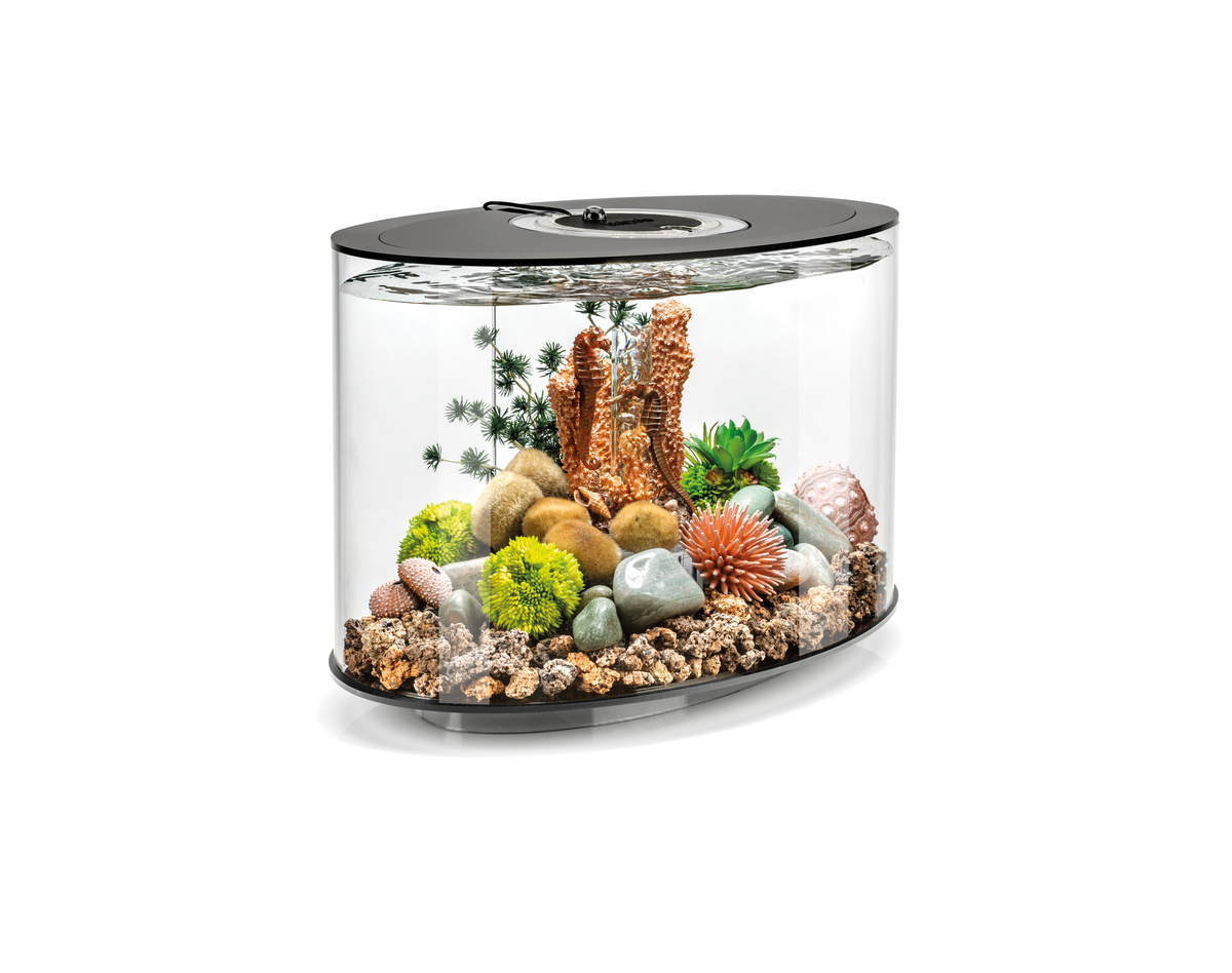BiOrb LOOP 15 MCR Zwart | Aquarium van klein formaat