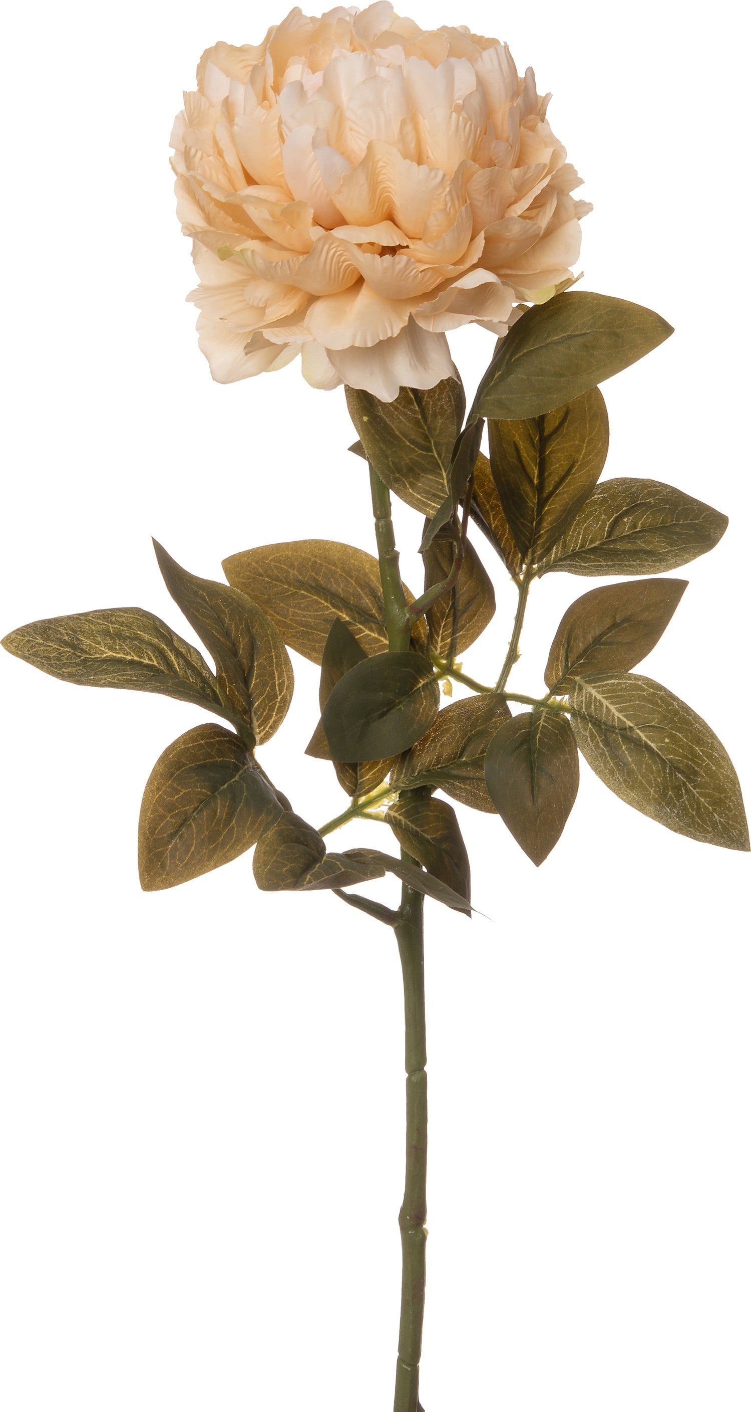 Intratuin kunstbloem Pioen 68 cm geel