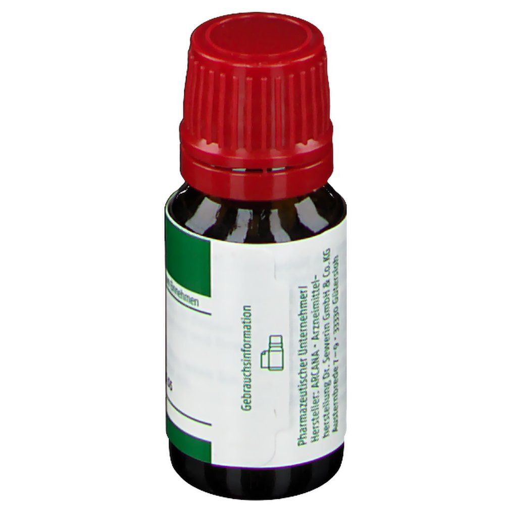 ARCANA® Spongia LM XVIII