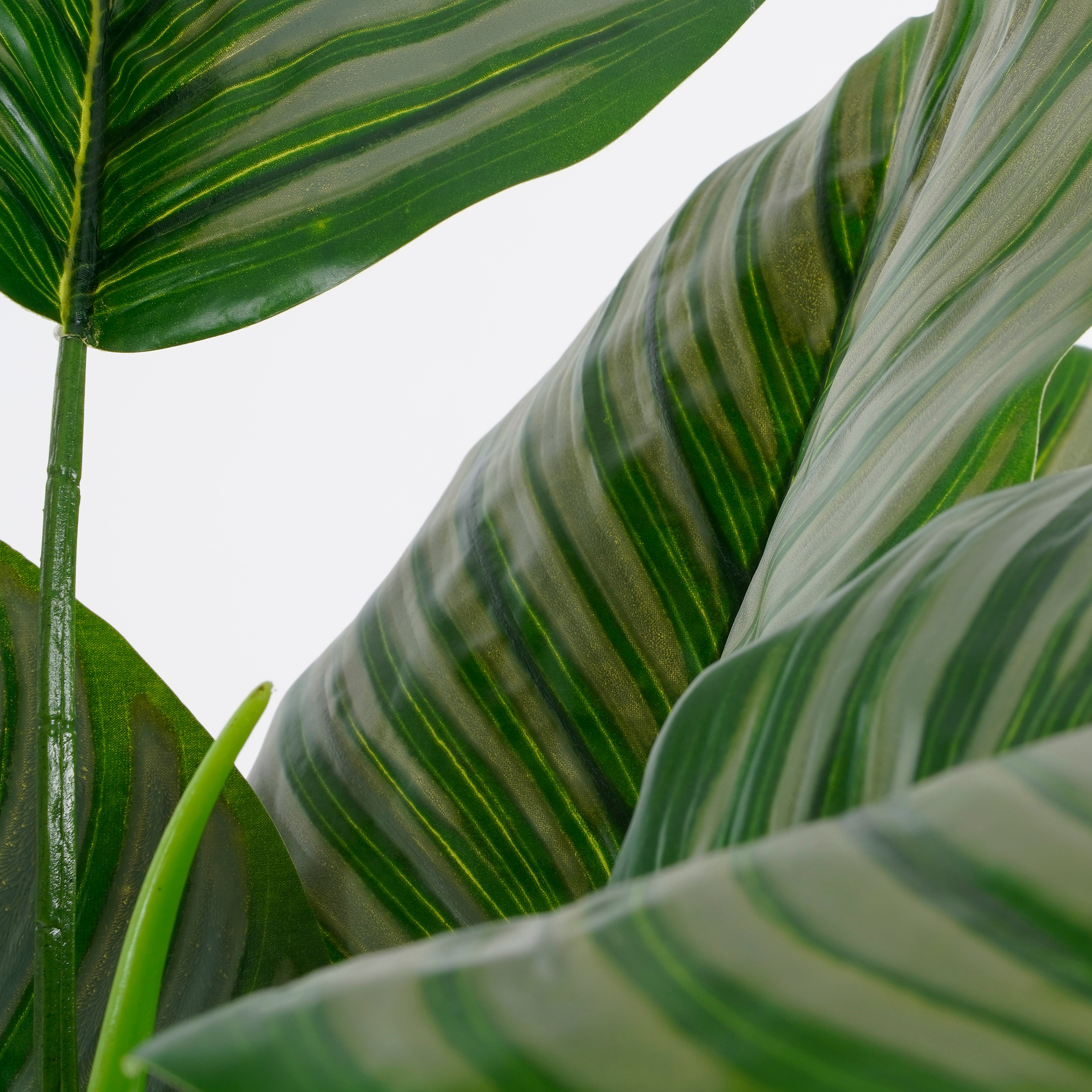 Calathea orbifolia artificielle en pot h90