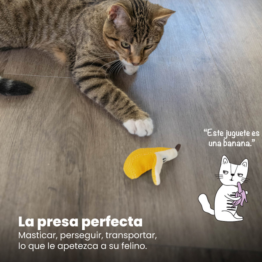 Banana de pelúcia dental Outward Hound Catstages para gatos