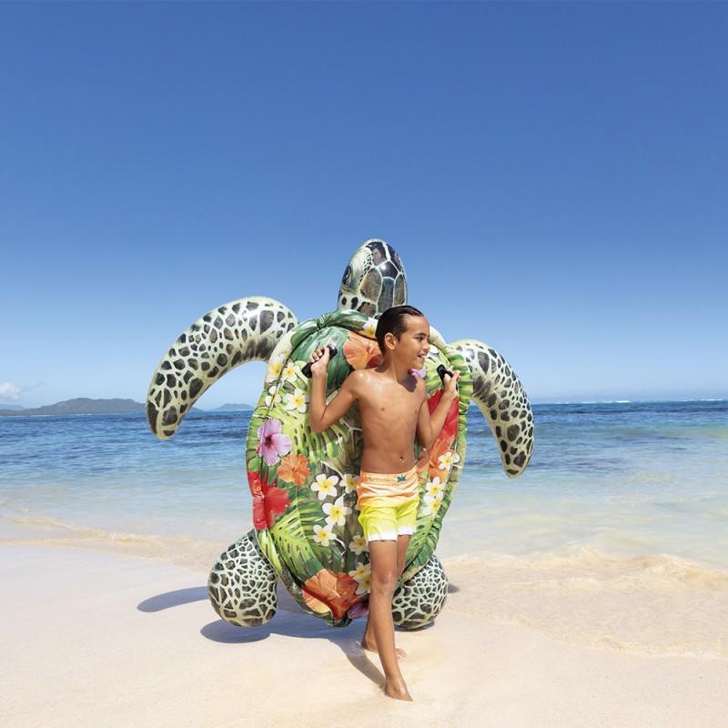 TORTUE A CHEVAUCHER