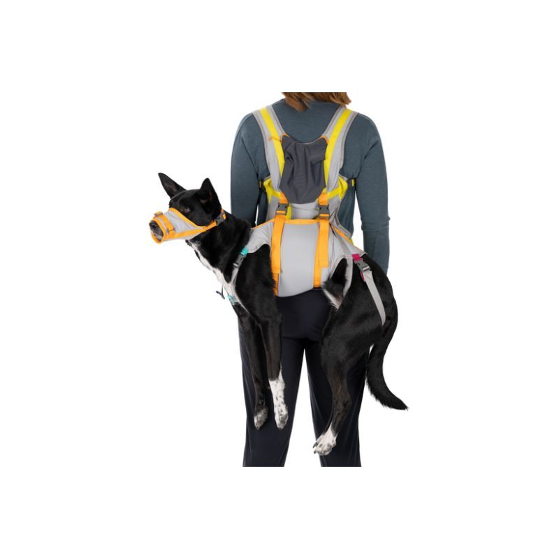 BackTrak Dog Evacuation Kit - Harnais pour chien