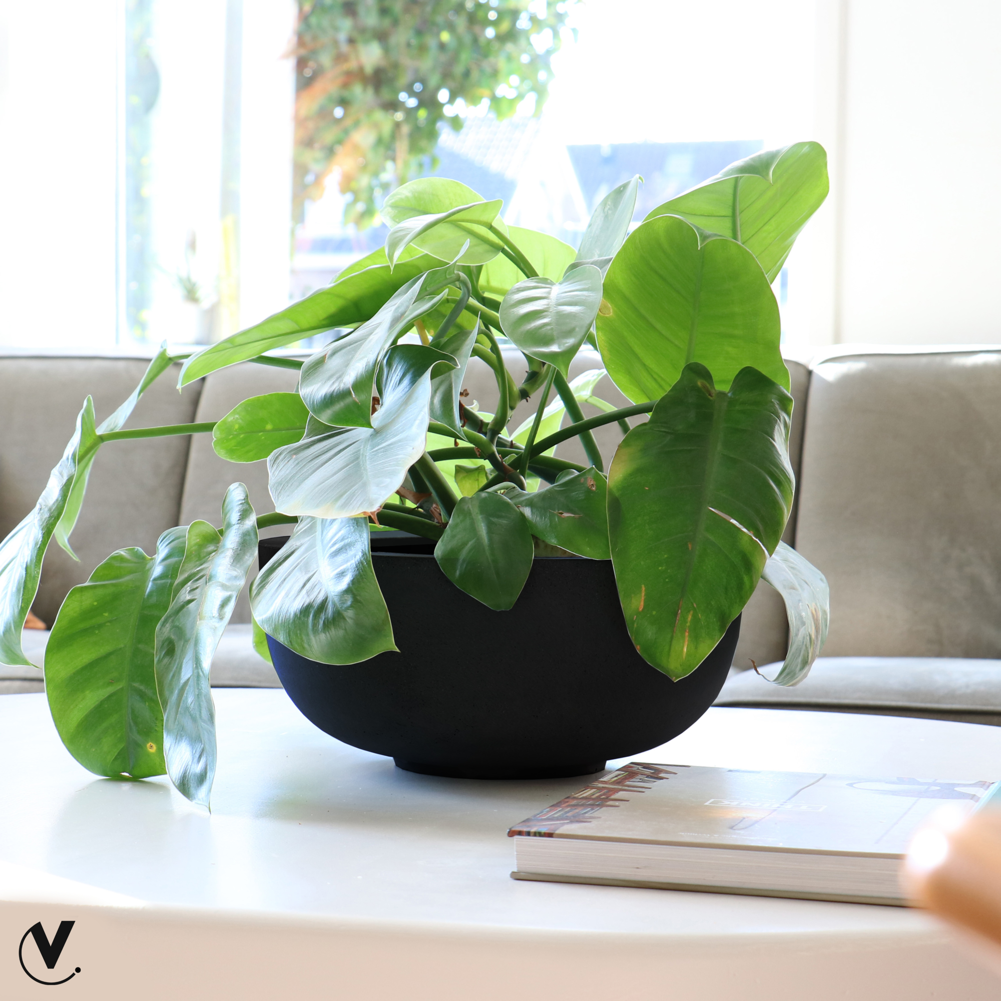 Plantenpot Ducos S black Ø33 x H15 cm - set van 2
