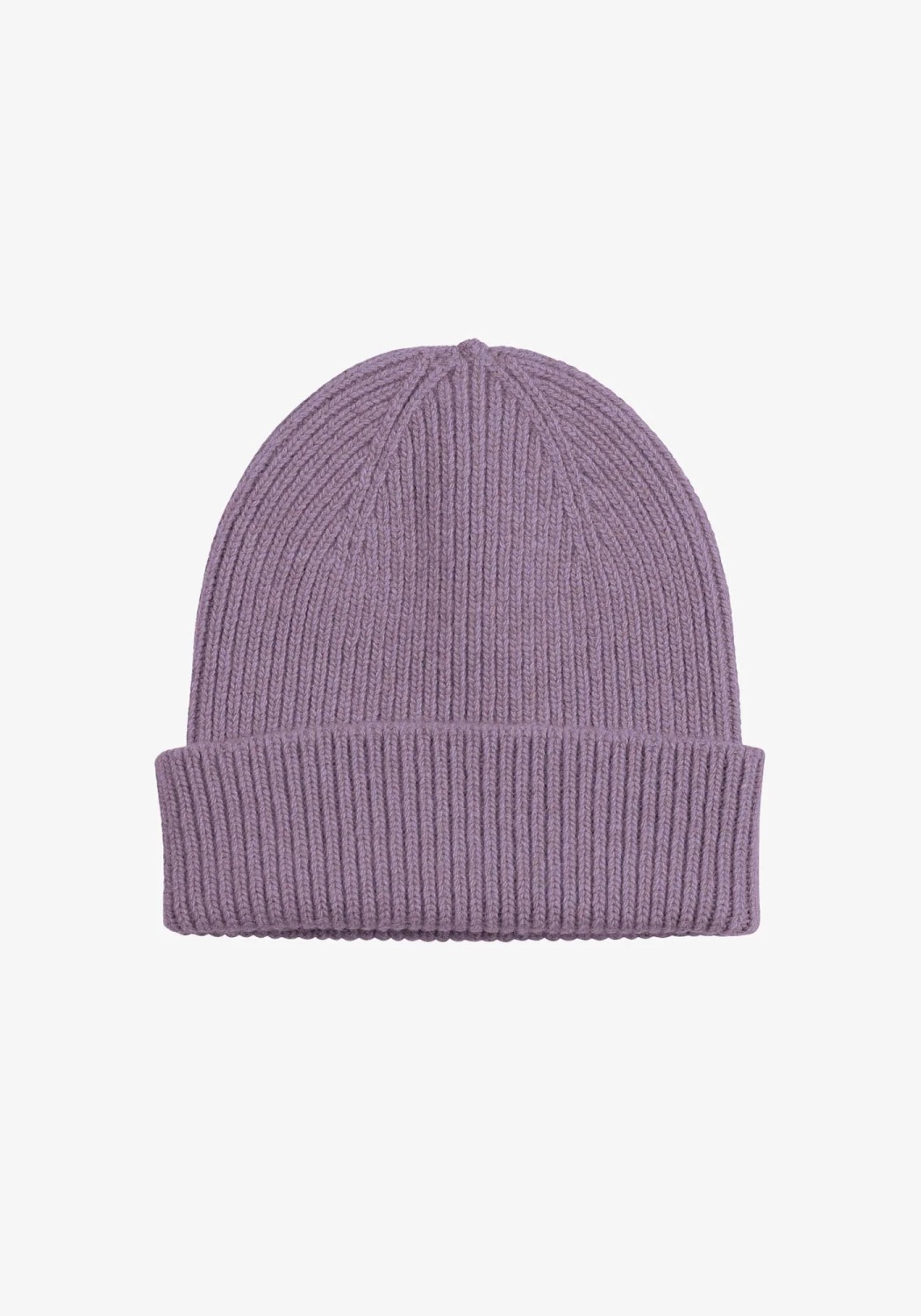 Colorful Standard Beanie Purple Haze
