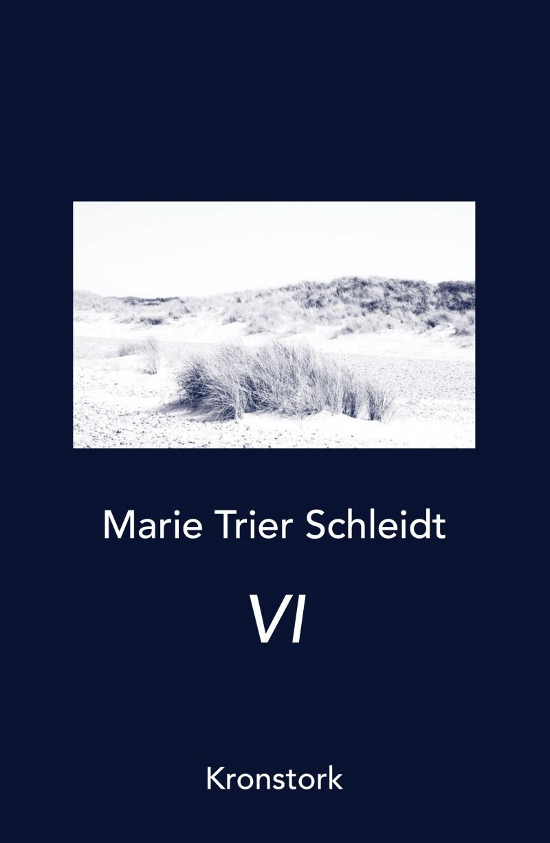 Vi - Marie Trier Schleidt - Bog
