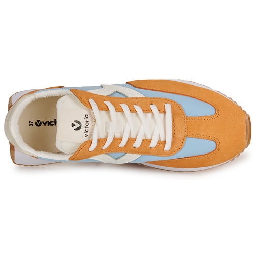Victoria - COSMOS - Bleu / Jaune / Blanc