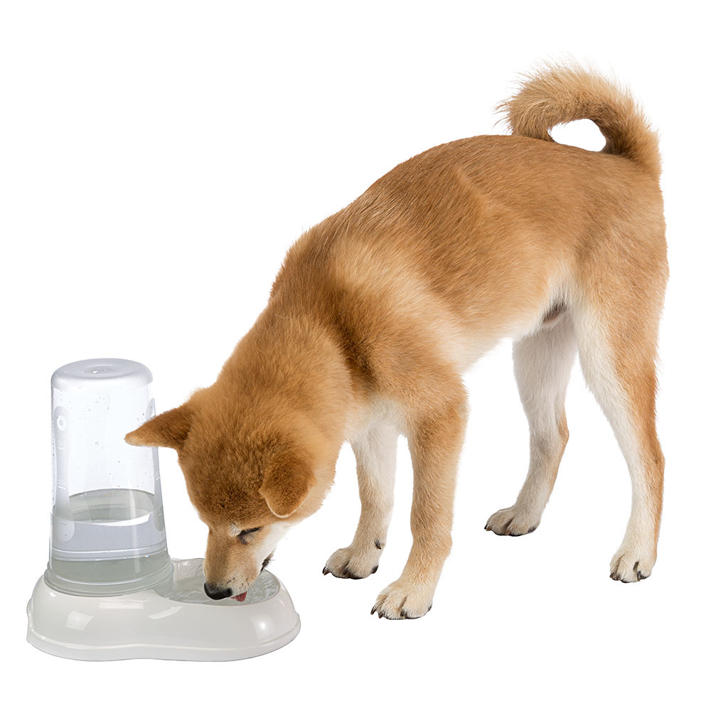 Ferplast distributeur d'eau ou nourriture pour chats et chiens azimut 1500 dispenser pour animaux 1,5 litres mangeoire pour