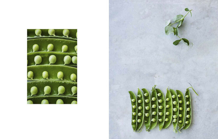 New Mags Evergreen