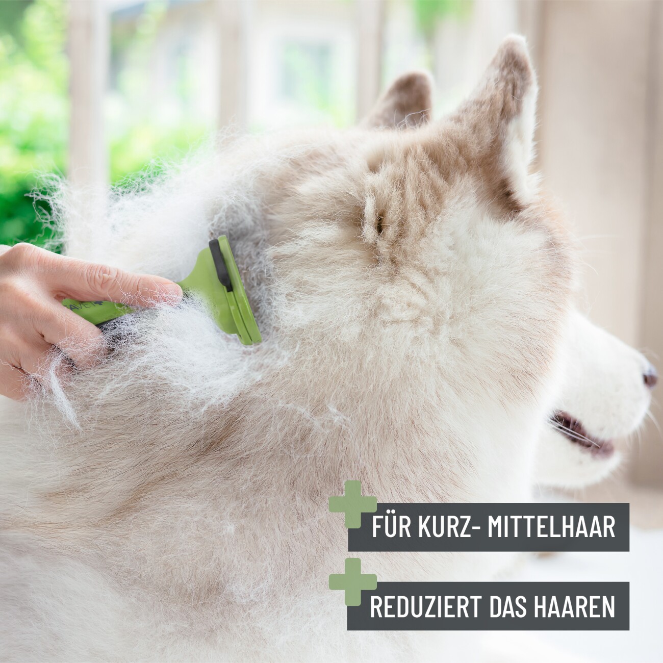 REAVET Unterwollkamm für Kurzhaar (L)