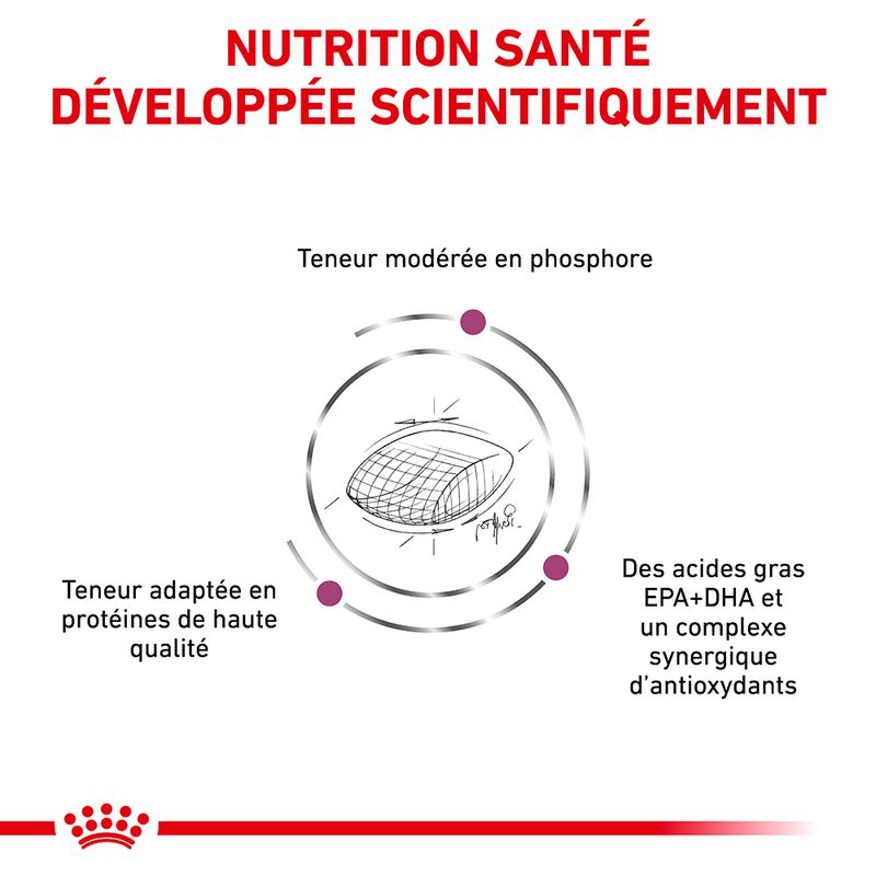 Royal Canin Veterinary Early Renal