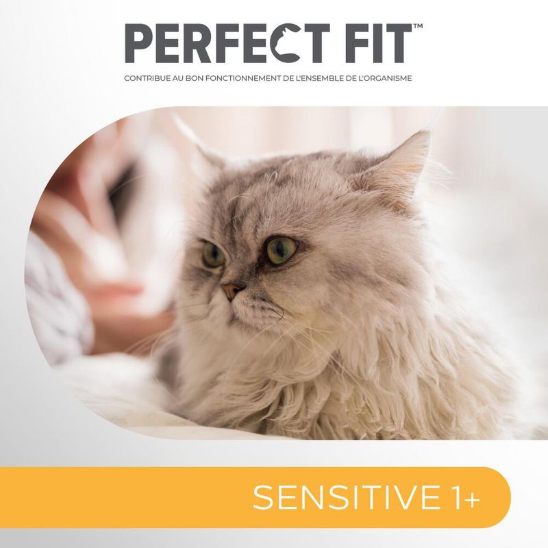 Perfect Fit Adult Chats stérilisés Riche en dinde