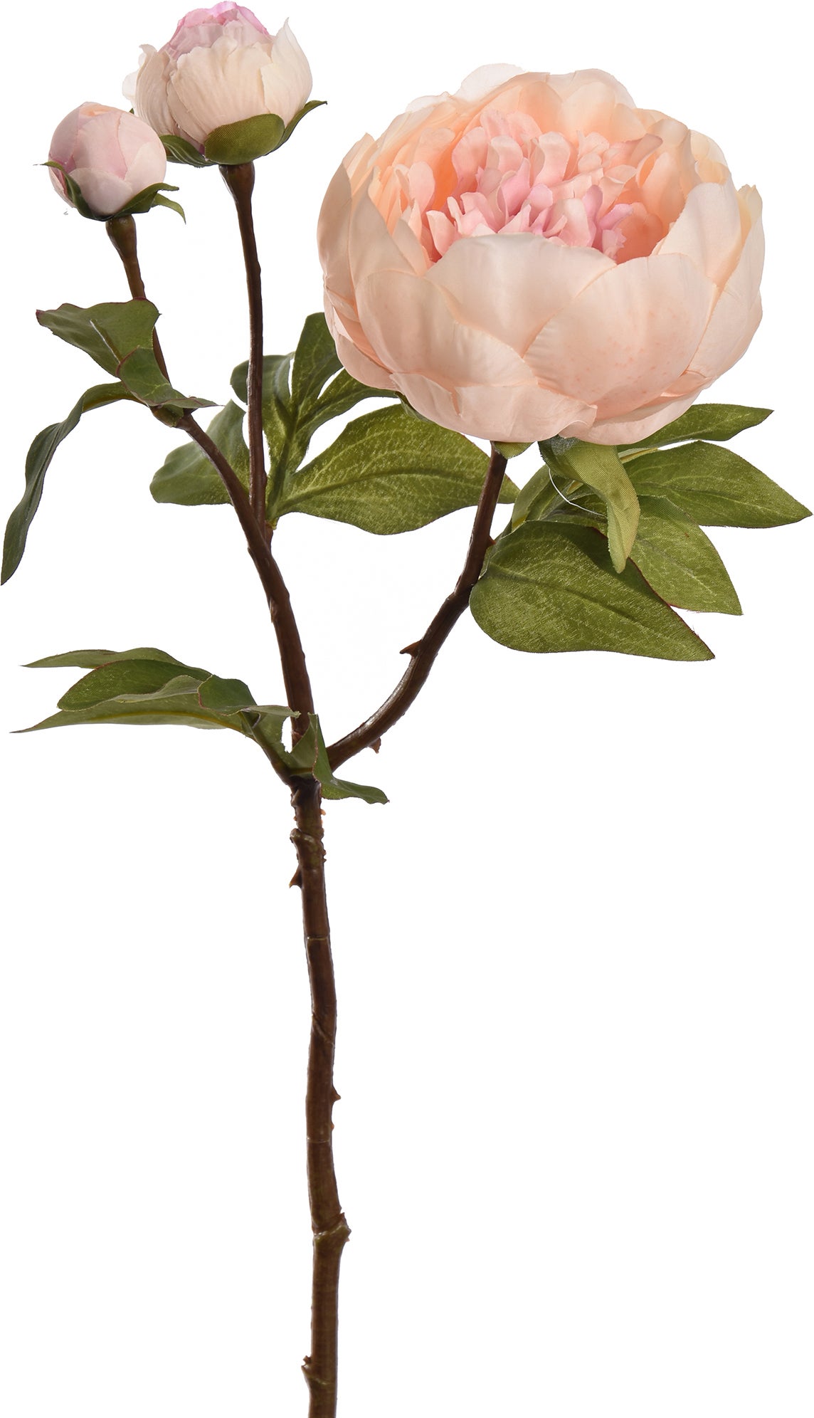 Jasaco PURE kunstbloem Pioen oranje roze 48 cm