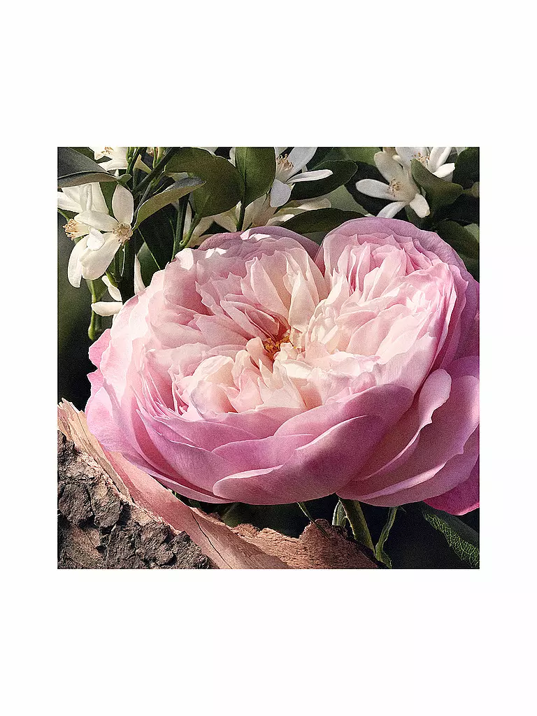 CHLOE Rose Naturelle Eau de Parfum Refillable 100ml keine Farbe