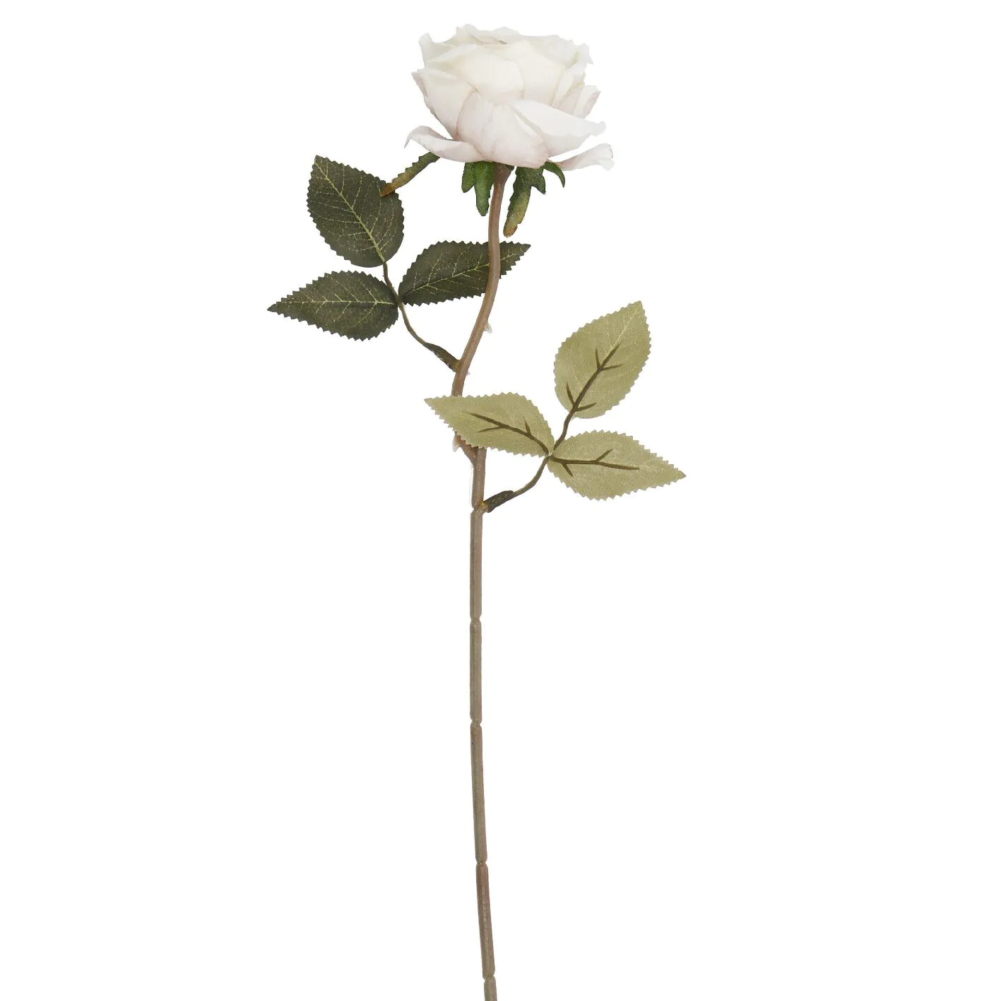 Rose Leonore, creme, 38 cm