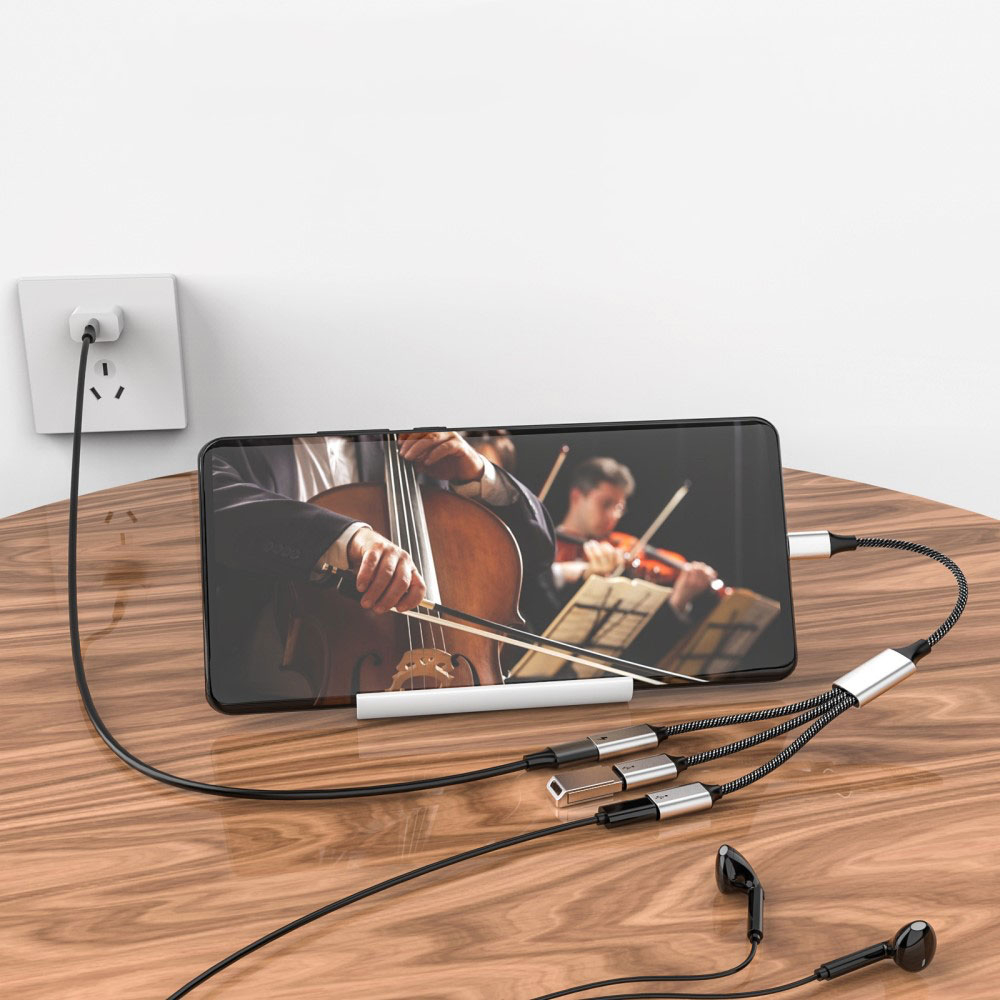 (26cm) 60W 3in1 USB C auf 3x USB C Adapter Ladekabel OTG Nylon Datenkabel - Schwarz / Silber