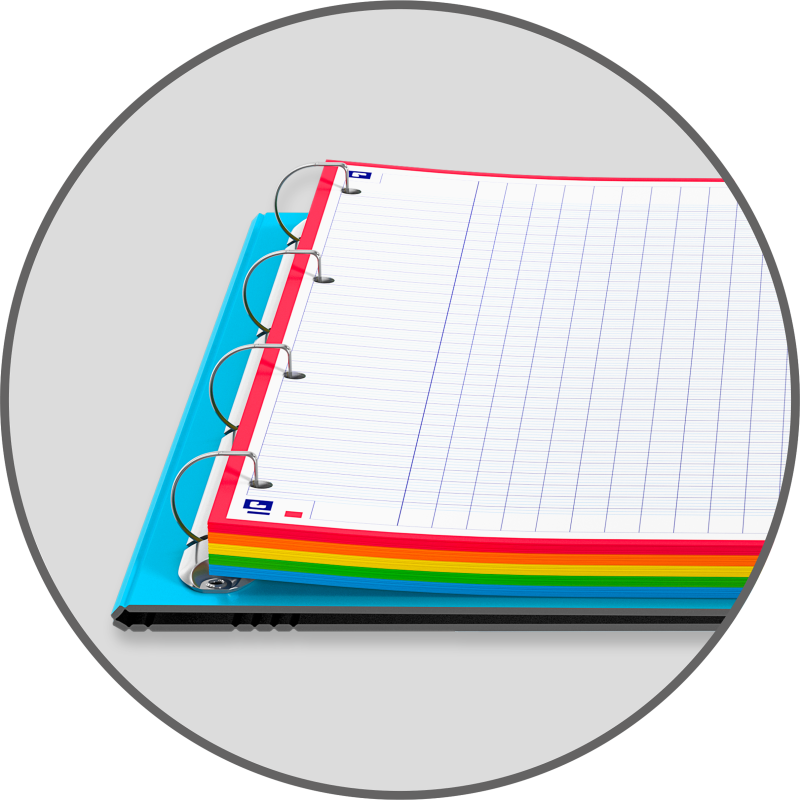 Easy Organiser Oxford Classeur Color System A4 D30 PP +120P Seyes 5Coul