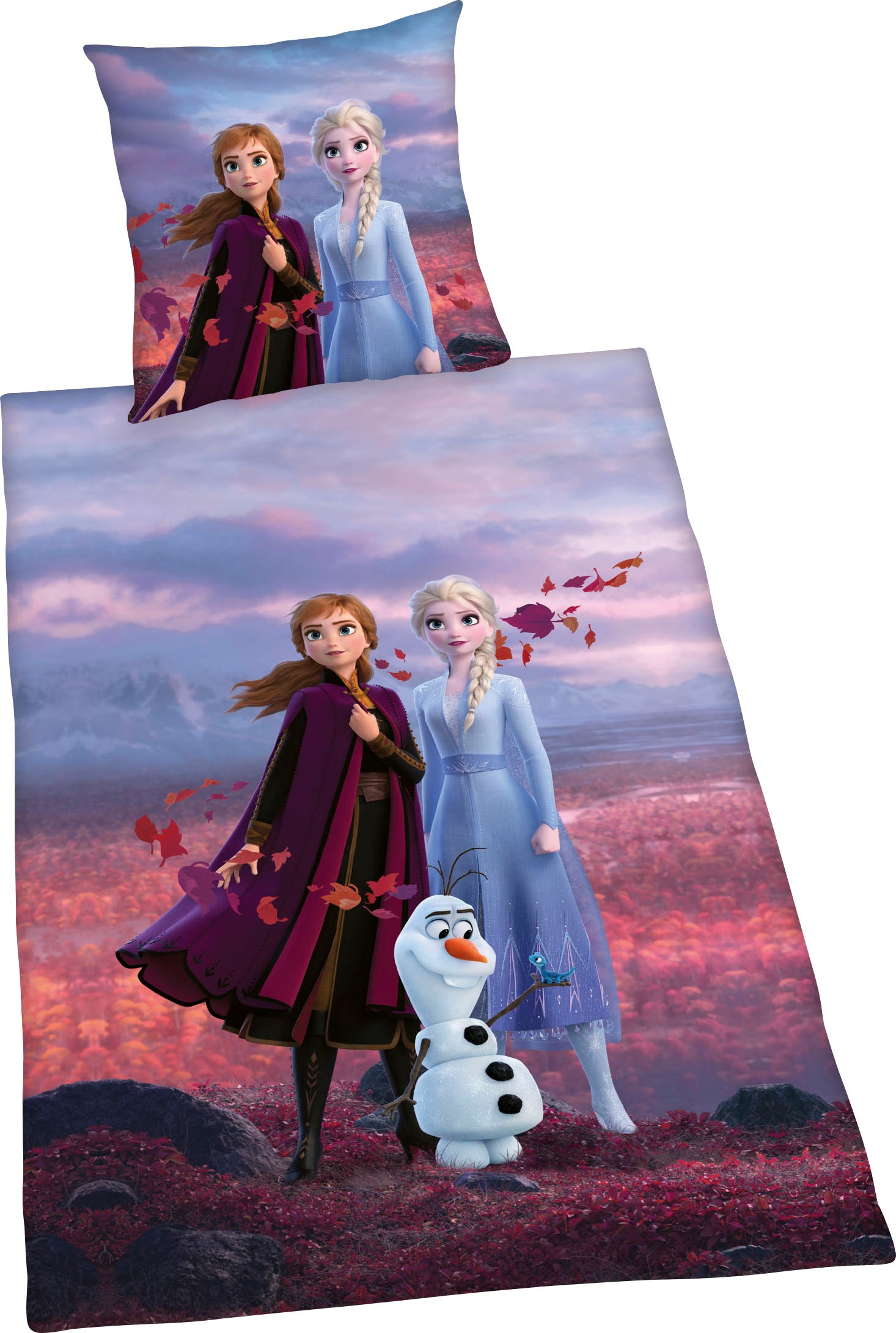Disney Kinderbettwäsche »Disney´s Eiskönigin« mit tollem Anna und Elsa Motiv
