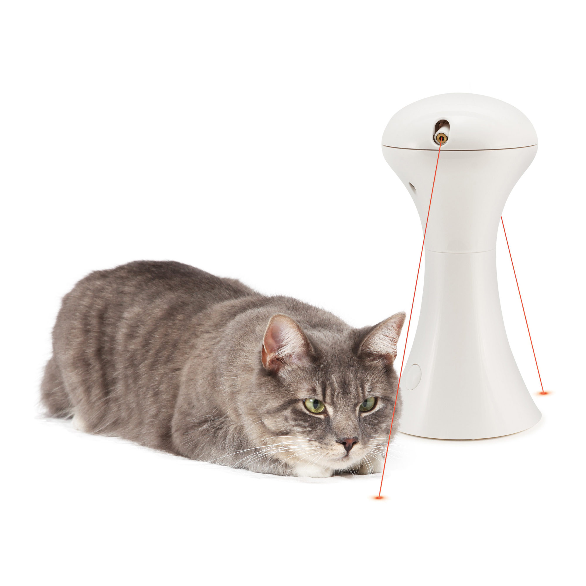 FroliCat Multi-Laser