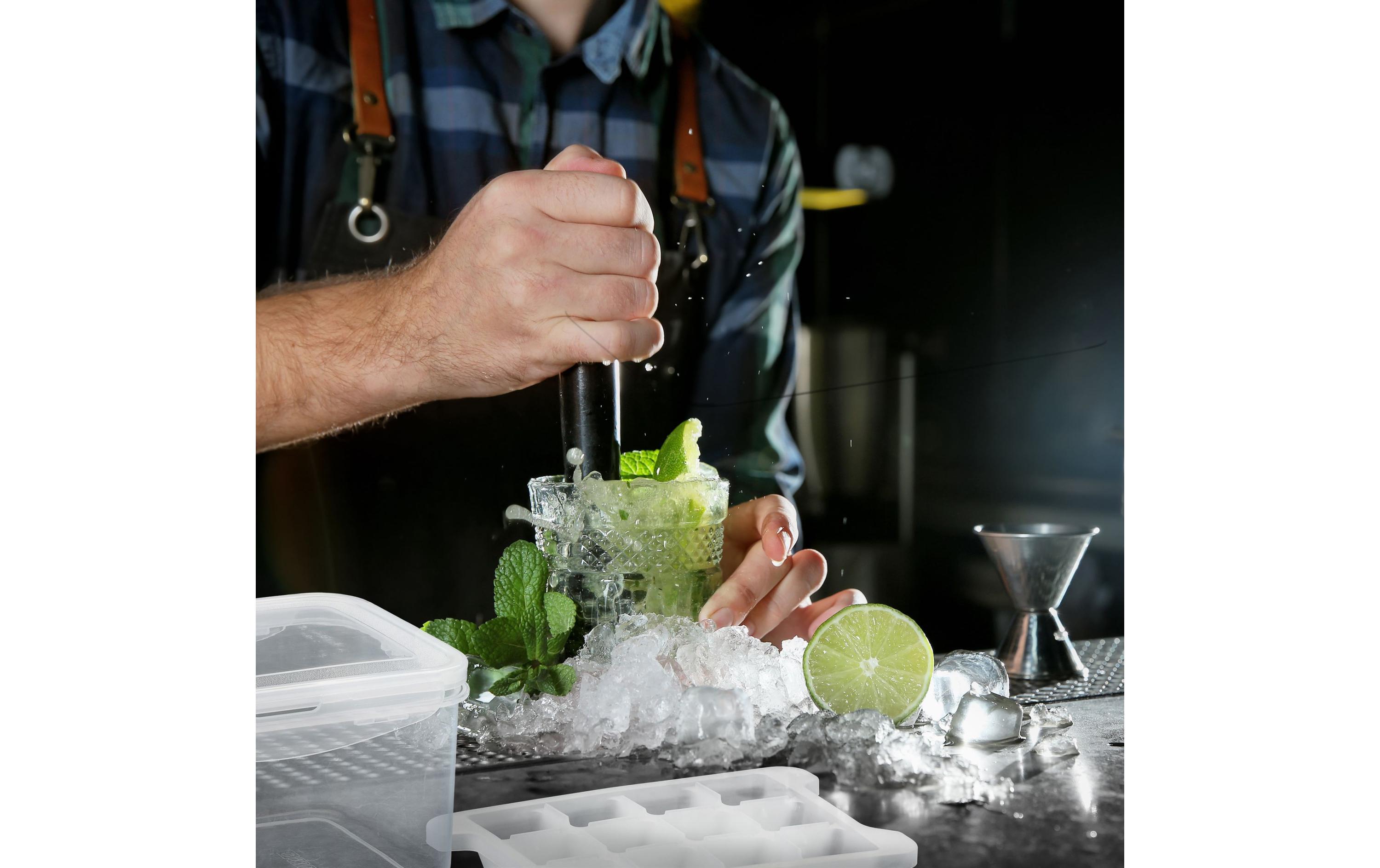 Eiswürfelform Transparent/WeissEiswürfelform Box mit 4 Formen