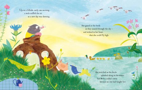 Dream Big, Little Mole (Paperback)