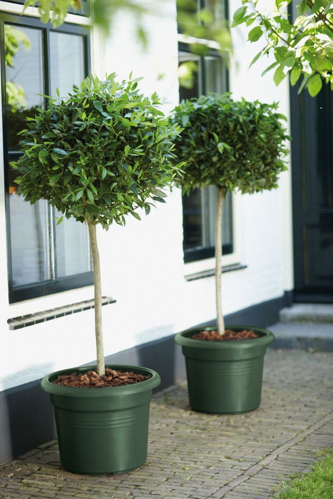Elho bloempot Green Basics groen D 54,3 H 41,2 cm