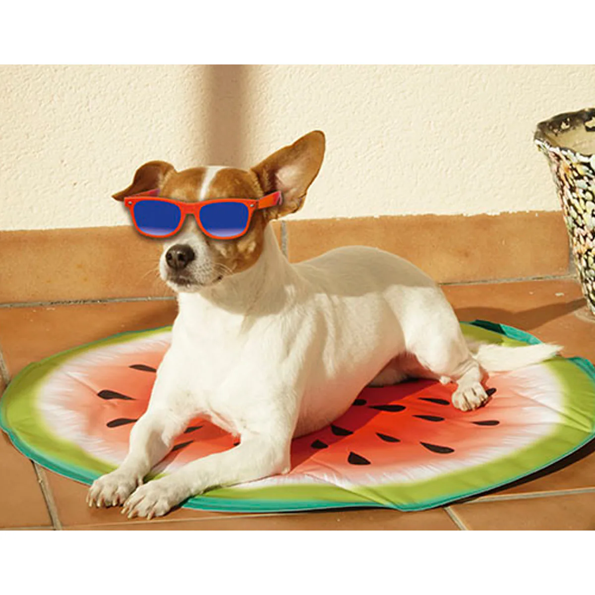 Starlyf® Kühlmatte für Hunde Pet Cooling Mat