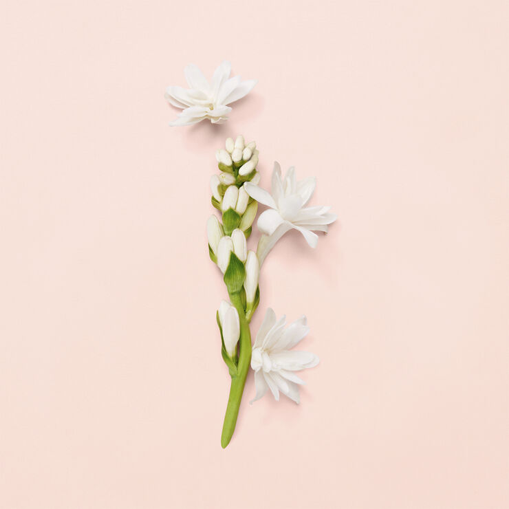 Gucci Bloom Eau De Parfum
