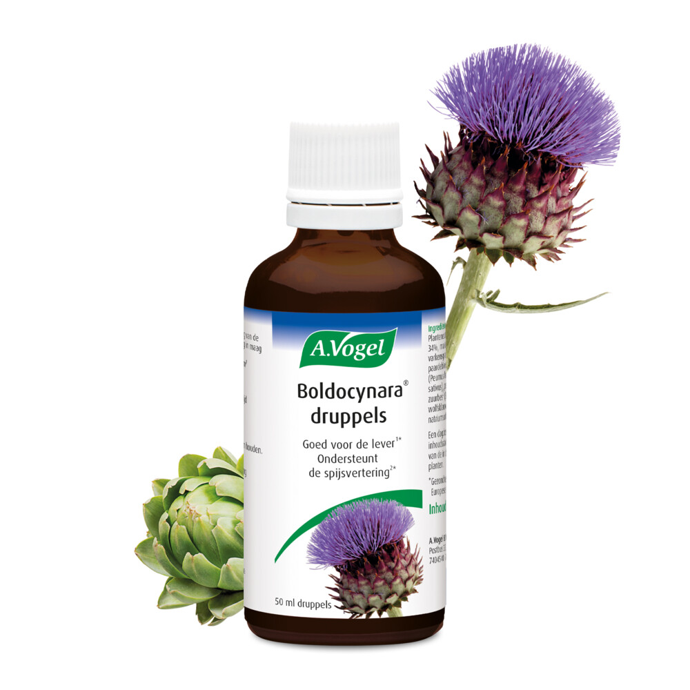 2x A.Vogel Boldocynara Druppels50 ml